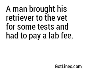 A man brought his retriever to the vet for some tests and had to pay a lab fee.
