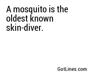 A mosquito is the oldest known skin-diver.
