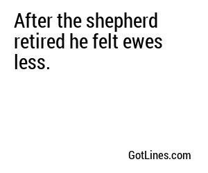 After the shepherd retired he felt ewes less.
