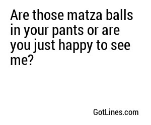 Are those matza balls in your pants or are you just happy to see me?
