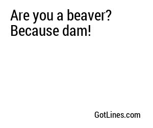 Are you a beaver? Because dam!
