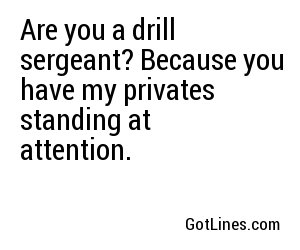 Are you a drill sergeant? Because you have my privates standing at attention.
