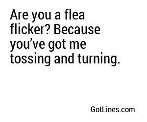 Are you a flea flicker? Because you’ve got me tossing and turning.
