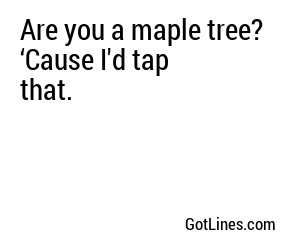 Are you a maple tree? ‘Cause I'd tap that.
