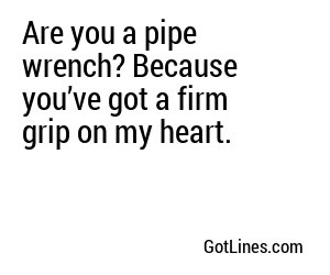 Are you a pipe wrench? Because you’ve got a firm grip on my heart.
