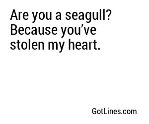 Are you a seagull? Because you’ve stolen my heart.
