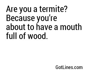 Are you a termite? Because you’re about to have a mouth full of wood.
