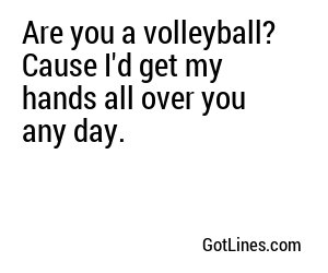 Are you a volleyball? Cause I'd get my hands all over you any day.
