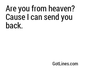 Are you from heaven? Cause I can send you back.
