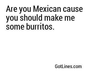 Are you Mexican cause you should make me some burritos.
