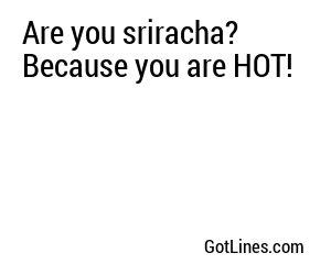 Are you sriracha? Because you are HOT!
