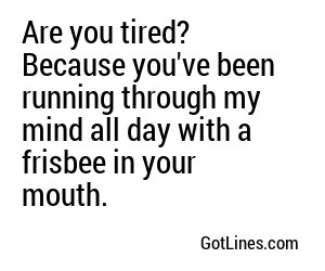 Are you tired? Because you've been running through my mind all day with a frisbee in your mouth.
