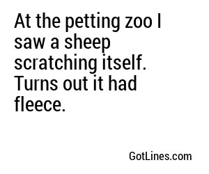 At the petting zoo I saw a sheep scratching itself. Turns out it had fleece.
