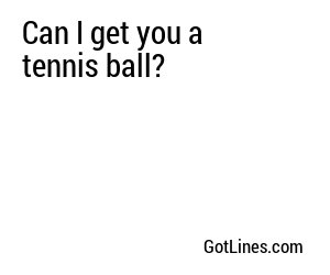 Can I get you a tennis ball?
