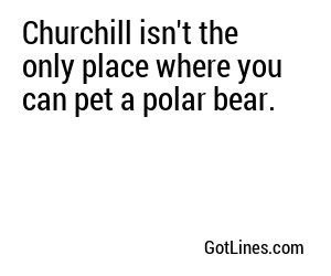 Churchill isn't the only place where you can pet a polar bear.
