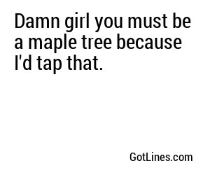 Damn girl you must be a maple tree because I'd tap that.
