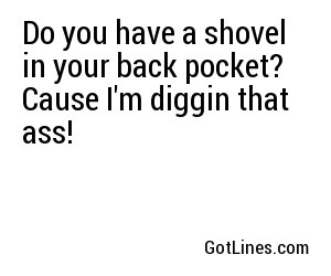 Do you have a shovel in your back pocket? Cause I'm diggin that ass!
