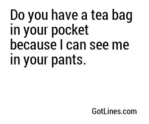 Do you have a tea bag in your pocket because I can see me in your pants.
