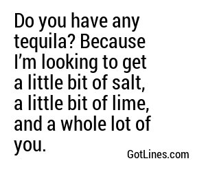 Do you have any tequila? Because I’m looking to get a little bit of salt, a little bit of lime, and a whole lot of you.
