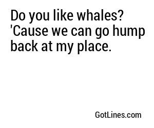 Do you like whales? 'Cause we can go hump back at my place.
