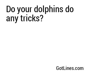 Do your dolphins do any tricks?
