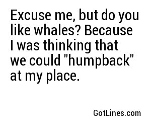 Excuse me, but do you like whales? Because I was thinking that we could 