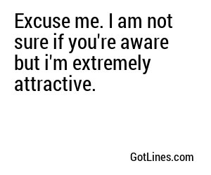 Excuse me. I am not sure if you're aware but i'm extremely attractive.
