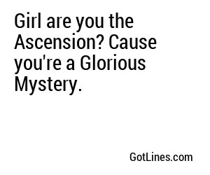 Girl are you the Ascension? Cause you're a Glorious Mystery.
