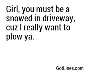 Girl, you must be a snowed in driveway, cuz I really want to plow ya.
