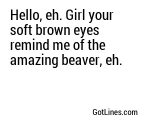 Hello, eh. Girl your soft brown eyes remind me of the amazing beaver, eh.
