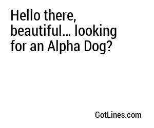 Hello there, beautiful… looking for an Alpha Dog?
