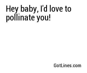 Hey baby, I'd love to pollinate you!
