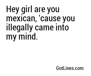 Hey girl are you mexican, 'cause you illegally came into my mind.
