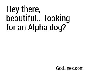 Hey there, beautiful... looking for an Alpha dog?
