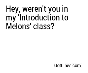 Hey, weren't you in my 'Introduction to Melons' class?
