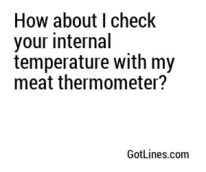 How about I check your internal temperature with my meat thermometer?
