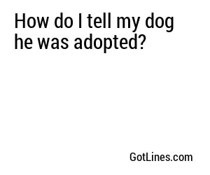 How do I tell my dog he was adopted?
