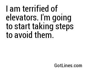 I am terrified of elevators. I'm going to start taking steps to avoid them.
