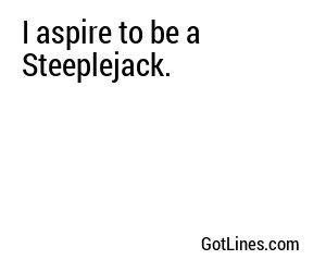 I aspire to be a Steeplejack.
