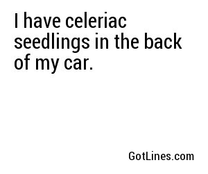 I have celeriac seedlings in the back of my car.
