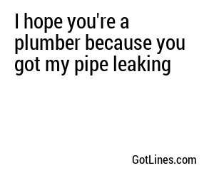 I hope you're a plumber because you got my pipe leaking
