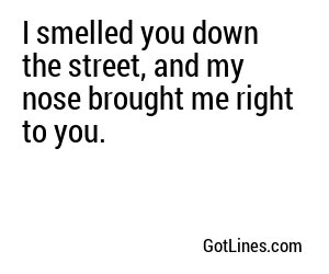 I smelled you down the street, and my nose brought me right to you.
