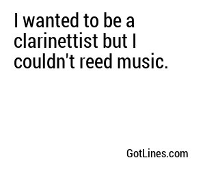 I wanted to be a clarinettist but I couldn't reed music.
