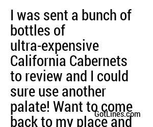 I was sent a bunch of bottles of ultra-expensive California Cabernets to review and I could sure use another palate! Want to come back to my place and help?
