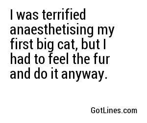 I was terrified anaesthetising my first big cat, but I had to feel the fur and do it anyway.
