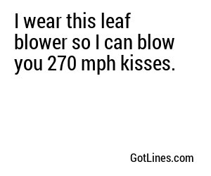 I wear this leaf blower so I can blow you 270 mph kisses.
