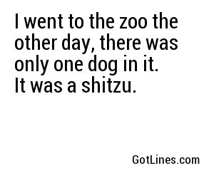 I went to the zoo the other day, there was only one dog in it. It was a shitzu.
