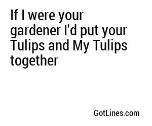 If I were your gardener I'd put your Tulips and My Tulips together
