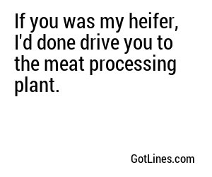 If you was my heifer, I'd done drive you to the meat processing plant.
