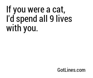 If you were a cat, I'd spend all 9 lives with